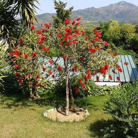 In 2 To 4 Persons With Large Private Garden Sole קאפוליברי